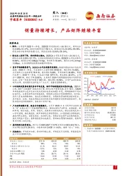 2025年一季报点评：销量持续增长，产品矩阵继续丰富