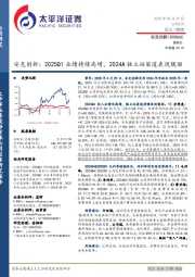 安克创新:2025Q1业绩持续高增,2024A独立站渠道表现靓丽
