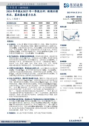2024年年报&2025年一季报点评:短期业绩承压,募投落地蓄力未来