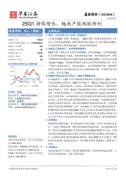 25Q1持续增长，越南产能爬坡顺利