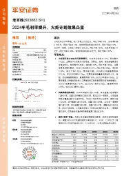 2024年毛利率提升，火炬计划效果凸显