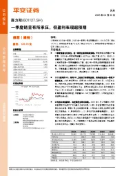 一季度销量有所承压，但盈利表现超预期