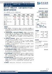 2025年一季报点评:天然气盈利水平优异,稳油增气持续推进