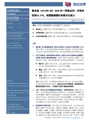 2025年一季报点评：归母净利润+6.51%，经营稳健看好后续分红能力