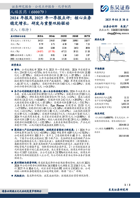 2024年报及2025年一季报点评：核心业务稳定增长，研发与重整双轮驱动