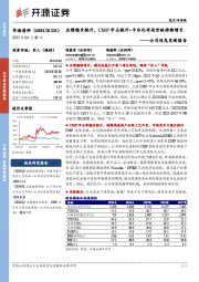 公司信息更新报告：业绩稳步提升，CMP市占提升+平台化布局贡献持续增长