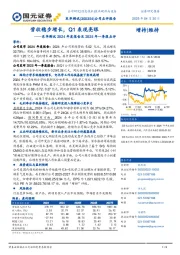 2024年年度报告点评及2025年一季报点评:营收稳步增长,Q1表现亮眼