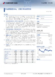 多品牌稳健布局,引领行业高质发展