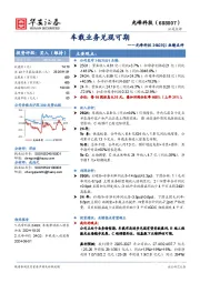 光峰科技24&25Q1业绩点评:车载业务兑现可期