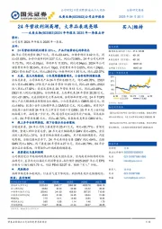 2024年年报及2025年一季报点评:24年营收利润高增,大单品表现亮眼
