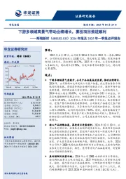 2024年报及2025年一季报点评报告:下游多领域高景气带动业绩增长,募投项目推进顺利