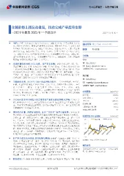 2024年报及2025年一季报点评：金属价格上涨拉动业绩，技改完成产量提升在即