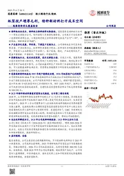 冠豪高新首次覆盖报告:纸浆投产增厚毛利,特种新材料打开成长空间