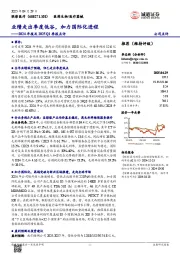 2024年报及2025Q1季报点评:业绩走出季度低谷,加力国际化进程