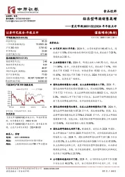 2024年年报点评:经济型啤酒销售高增