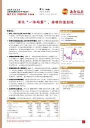 深化“一体两翼”，持续价值创造
