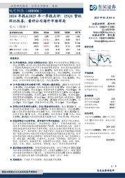 2024年报&2025年一季报点评:25Q1营收环比改善,看好公司海外市场布局