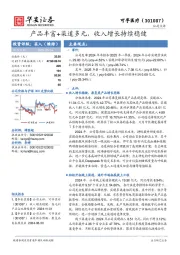 产品丰富+渠道多元，收入增长持续稳健