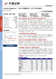 公司信息更新报告:2024年成绩优异,2025年开局良好