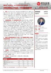 2024年年报及2025年一季报点评:量增价减影响24年业绩,水电压舱石作用显著