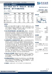 2024年报及2025年一季报点评:国内集采影响可控,海外市场稳步推进