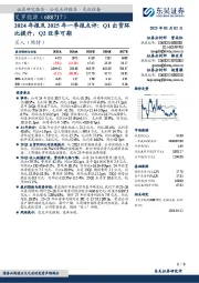 2024年报及2025年一季报点评:Q1出货环比提升,Q2旺季可期