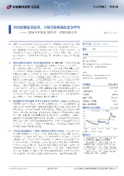 2024年年报及2025年一季报业绩点评:国内份额显著提升,全场景矩阵强化竞争壁垒
