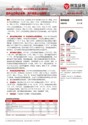 2024年年报及2025年一季报点评:组件业务稳步发展,海外销售占比提升
