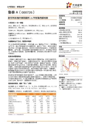 新材料和海外高档面料26年有望贡献利润