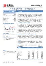 产销量大幅增长，持续优化生产