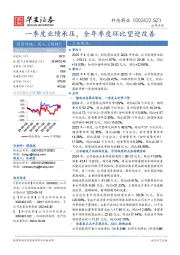 一季度业绩承压，全年季度环比望迎改善