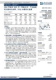 2024年报及2025年一季报点评：产品结构变化影响毛利率，25Q1业绩同比高增
