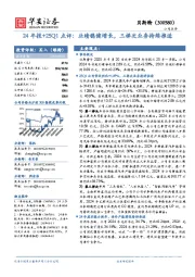 24年报+25Q1点评:业绩稳健增长,三梯次业务持续推进