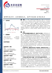 海博思创点评：全球储能龙头，海外加速+AI应用是亮点
