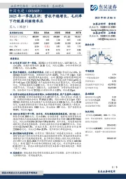2025年一季报点评:营收平稳增长,毛利率下行致盈利继续承压