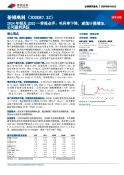 2024年报及2025一季报点评：毛利率下降，减值计提增加，公司盈利承压