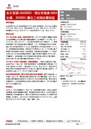 锂业务拖累2024业绩，2025Q1氟化工利润改善明显
