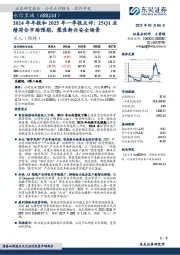 2024年年报和2025年一季报点评:25Q1业绩符合市场预期,聚焦新兴安全场景