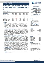 2024年年报及2025年一季报点评:2024年火炬项目提利显成效,扩张持续深耕优势市场