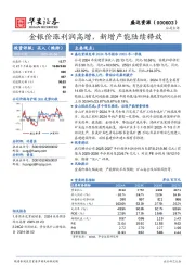 金银价涨利润高增,新增产能陆续释放