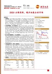 25Q1业绩亮眼,稳步拓展全球市场