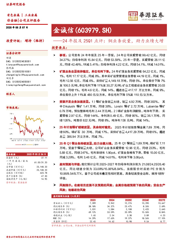 24年报及25Q1点评：铜业务放量，助力业绩大增