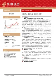 2024年业绩超预期，25Q1延续高增