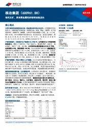 依托五矿，具有黄金属性的铅锌冶炼龙头