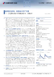 吉电股份2024年年报&2025年一季报点评:盈利能力改善,绿氨项目投产在即