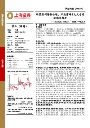 年报&一季报点评：经营盈利再创佳绩，产能落地&大尺寸升级稳步推进
