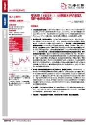 公司简评报告:业绩基本符合预期,海外市场高增长