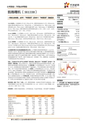 一季度业绩亮眼，由单个“单项冠军”迈向多个“单项冠军”战略坚定