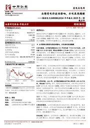 2024年年报及2025年一季报点评:业绩受电价波动影响,水电表现稳健
