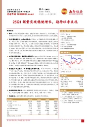2025年一季报点评:25Q1销量实现稳健增长,期待旺季表现